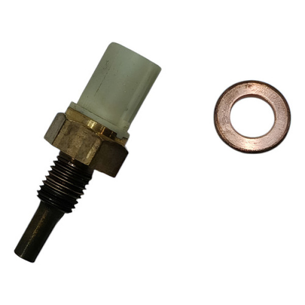 Sensor Temperatura Yamaha Mt03 21/24 Original