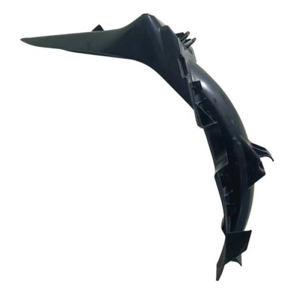 Paralma Suporte Placa Honda Biz 100 Es 98/05 Original Preto