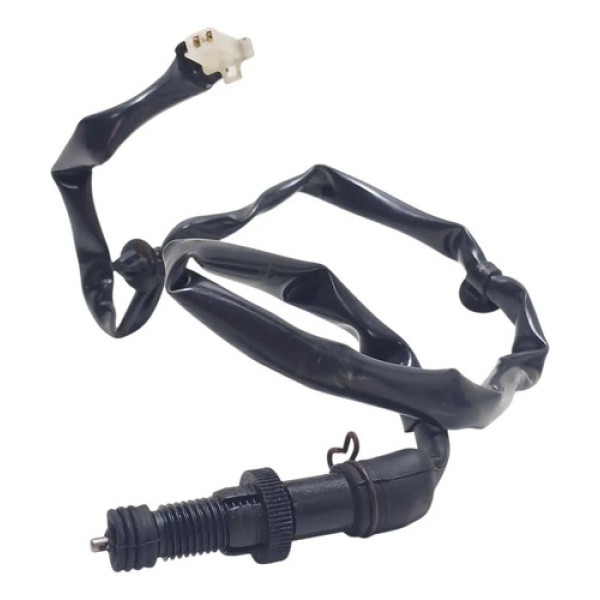 Sensor Freio Traseiro Honda Cg 160 16/24 Original