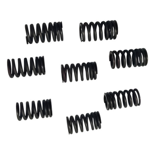 Molas Valvula Kawasaki Ninja 650r 09/11 Original