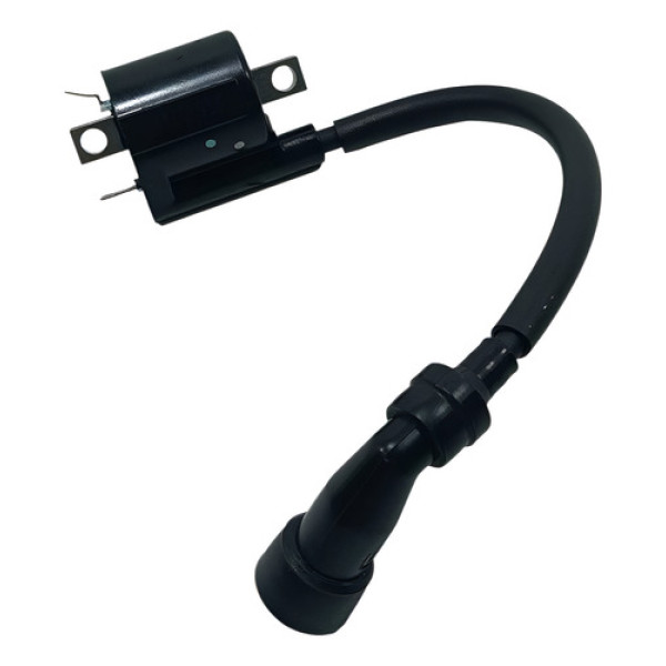 Bobina Ignição Yamaha Fz25 Fazer 250 18/24 Original