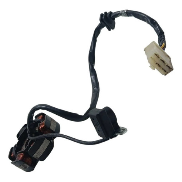 Estator Shineray Xy 50 2005 Original