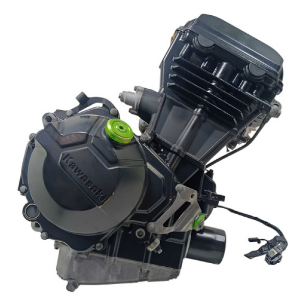 Motor Parcial Kawasaki Ninja 300 2013 Original C/ Nf