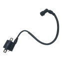 Bobina Ignição Shineray Xy 50 2005 Original