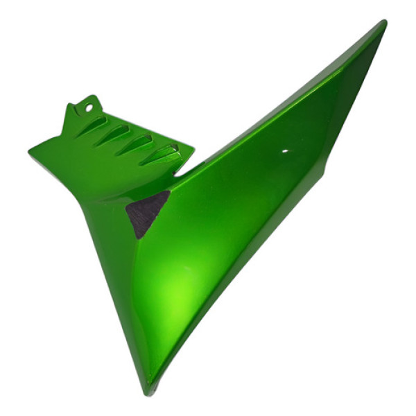 Carenagem Acabamento Aba Esquerda Kawasaki Z900 21 Original Verde