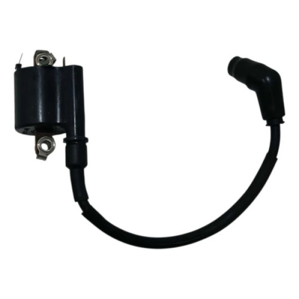 Bobina Ignição Honda Cg 150 09/13 Original