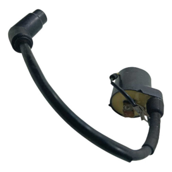Bobina Ignição Honda Cg 150 Titan Esd 04/08 Original