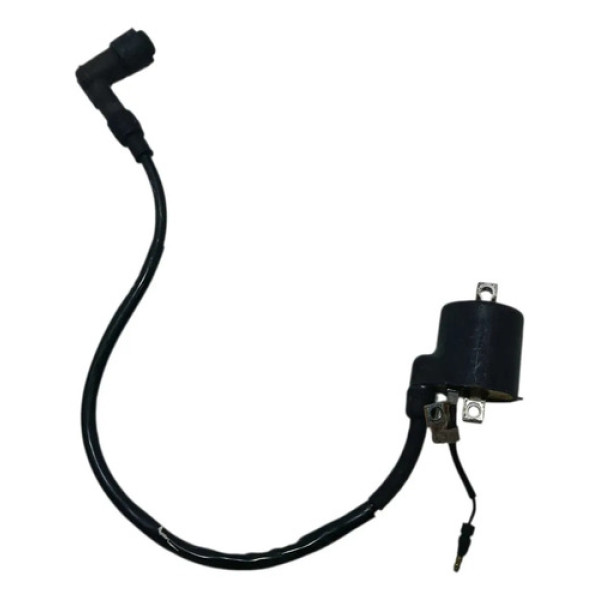 Bobina Ignição Honda Cg 125 Fan 00/08 Original