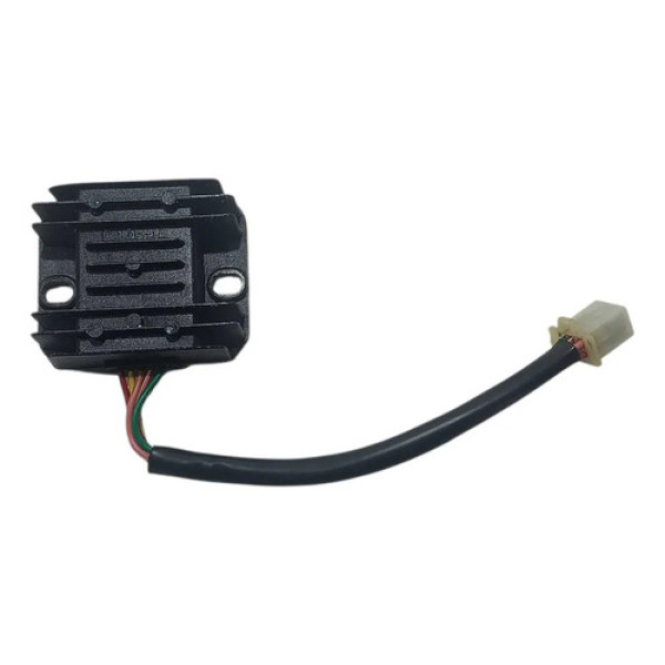 Retificador Shineray Xy 50 2005 Original 12v