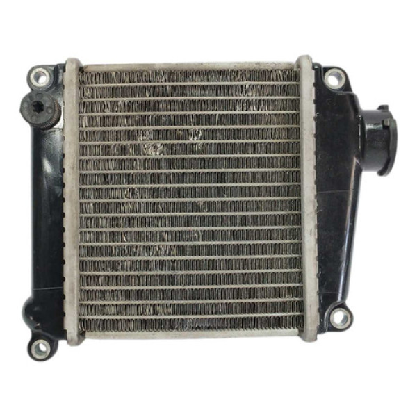 Radiador Agua Honda Lead 110 10/15 Original