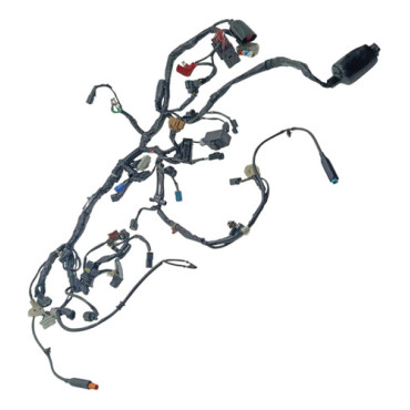 Chicote Principal Ho...