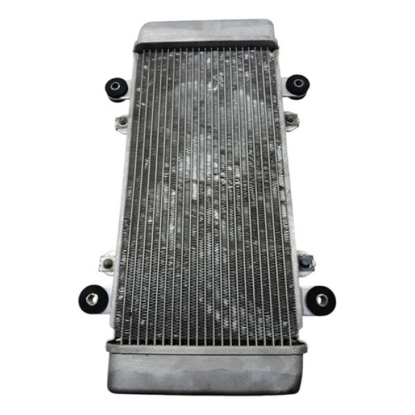 Radiador Água Kawasaki Ninja 300 13/18 Original