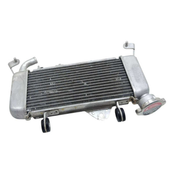 Radiador Agua Yamaha Yzf R15 Abs 23/25 Original