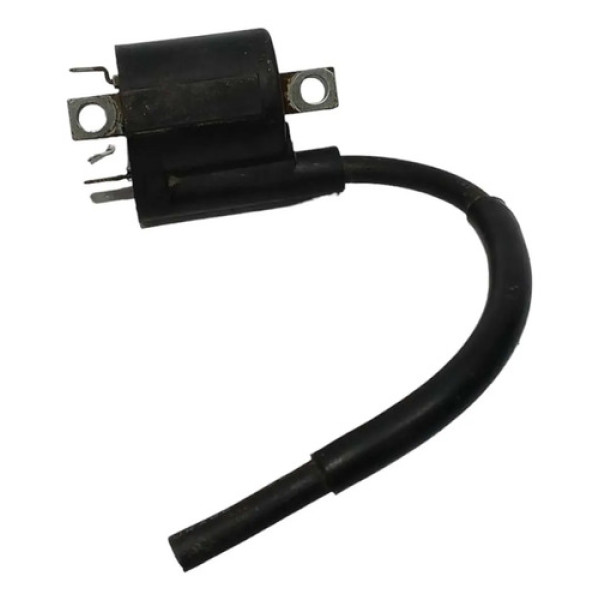 Bobina Ignição Yamaha Fazer 250 2006/2016 Original 