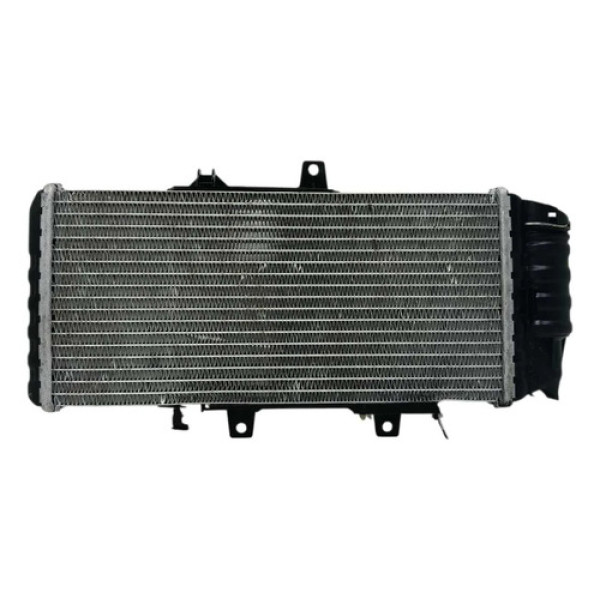 Radiador Bmw F800 Gs 13/16 Original C/avaria