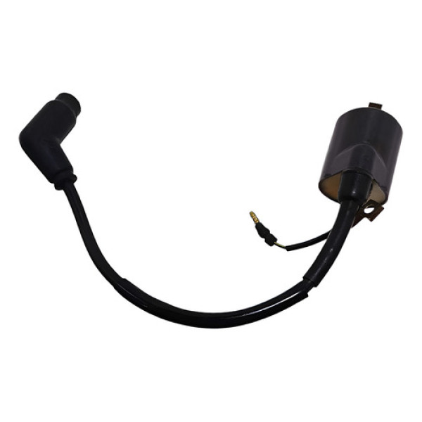 Bobina Ignição Honda Cg 150 Titan 04/08 Original