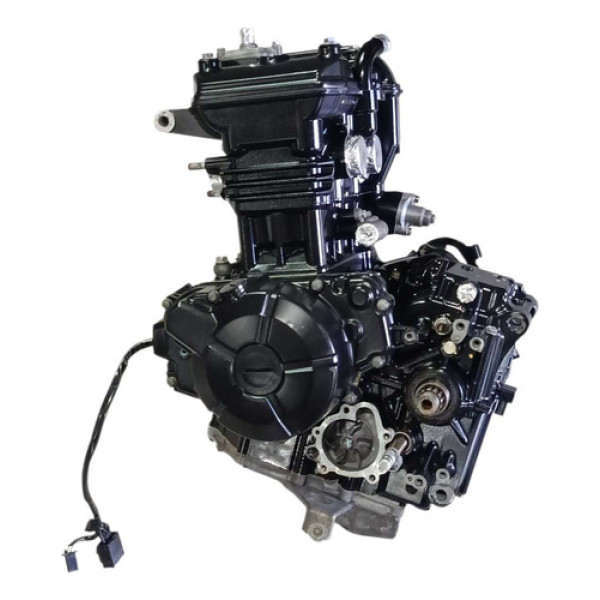 Motor Parcial Kawasaki Ninja 300 2014 Original C/nfe