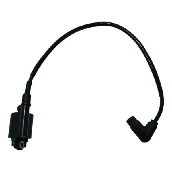 Bobina Ignição Honda Biz 125 Es 11/15 Original