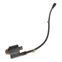 Bobina Ignição Honda Lead 110 10/15 Original