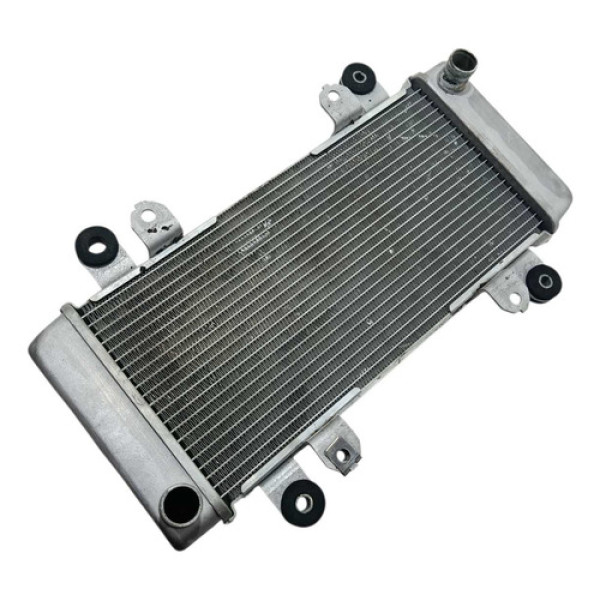 Radiador Kawasaki Ninja 250r 08/12 Original C/avaria