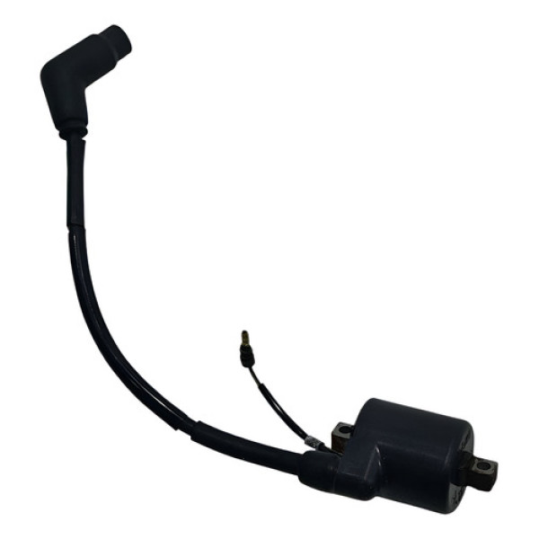 Bobina Ignição Honda Cg 150 04/08 Original