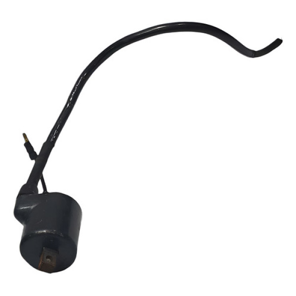 Bobina Ignição Honda Cg 125 00/08 Original 