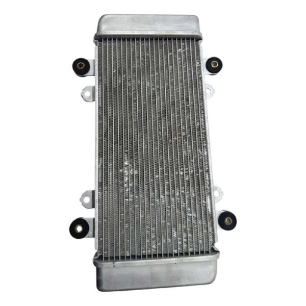 Radiador Água Kawasaki Ninja 300 Abs 13/18 Original