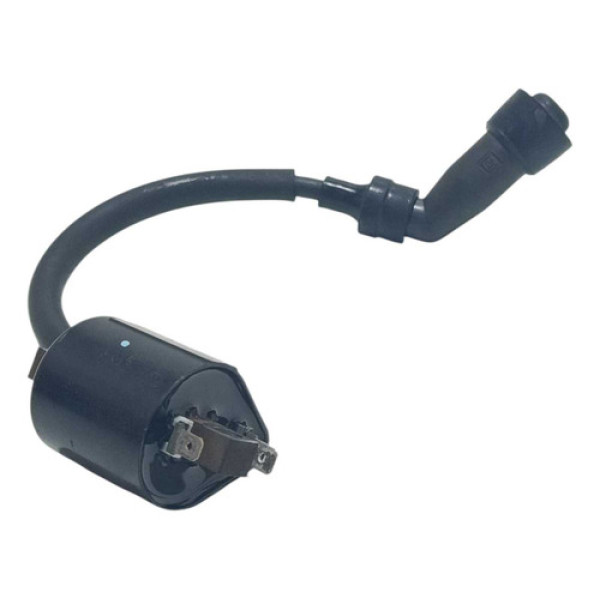 Bobina Ignição Yamaha Fazer 250 18/22 Original