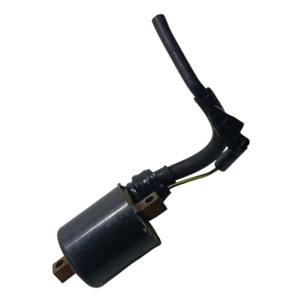 Bobina Ignção Honda Cbx 250 Twister 01/08 Original