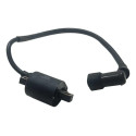Bobina Ignição Shineray Xy 50 2005 Original