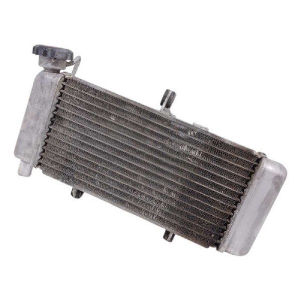 Radiador Agua Honda Cbr 250r 2012 Original