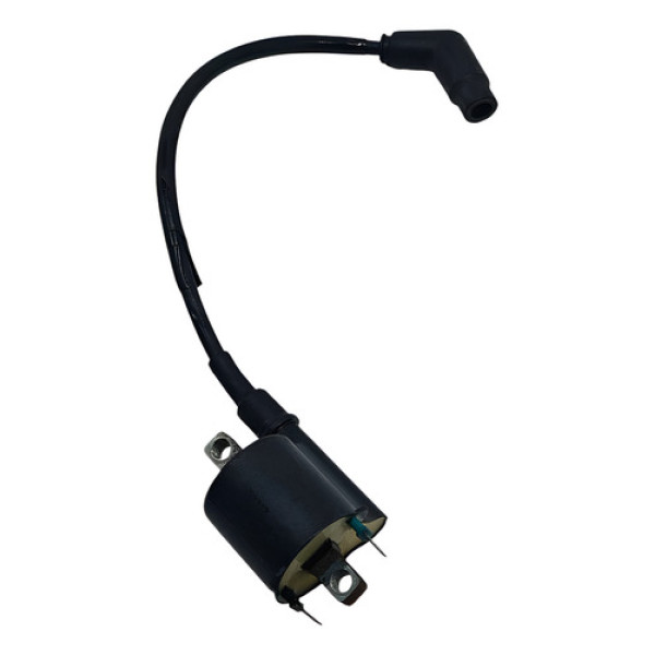 Bobina Ignição Honda Cg 125 09/13 Original