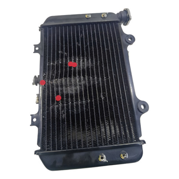 Radiador Água Bmw G310 Gs 21/24 Original C/avaria