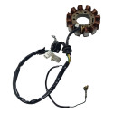 Estator Yamaha Ybr 125 04/05 Original